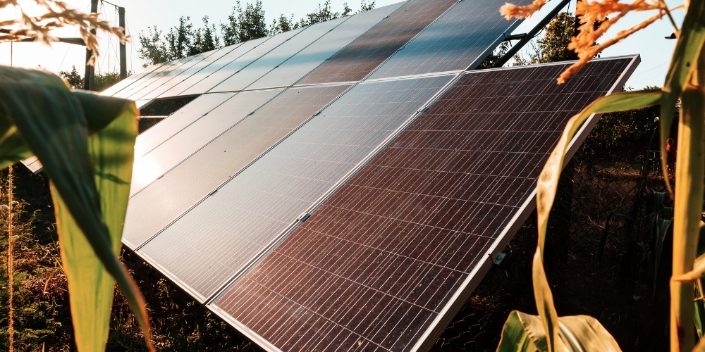 Кращі компанії з продажу накопичувачів енергії